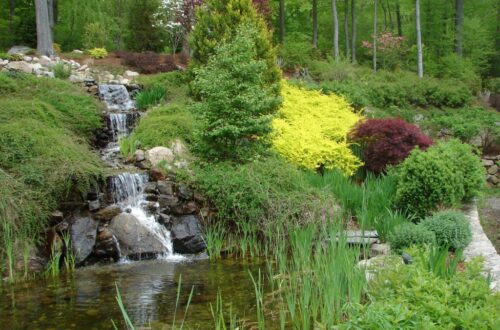 Bolton Landscape Design & Masonry specializing in plantings, sprinkler systems, patios, grills, driveway construction, and grading since 1979.