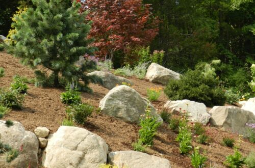 Bolton Landscape Design & Masonry specializing in plantings, sprinkler systems, patios, grills, driveway construction, and grading since 1979.