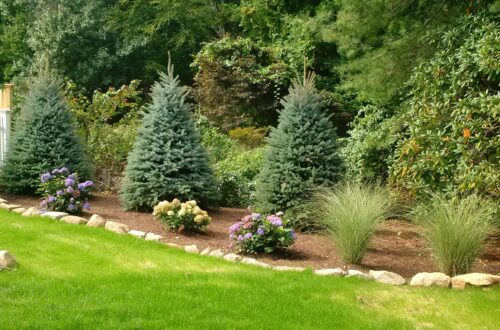 Bolton Landscape Design & Masonry specializing in plantings, sprinkler systems, patios, grills, driveway construction, and grading since 1979.